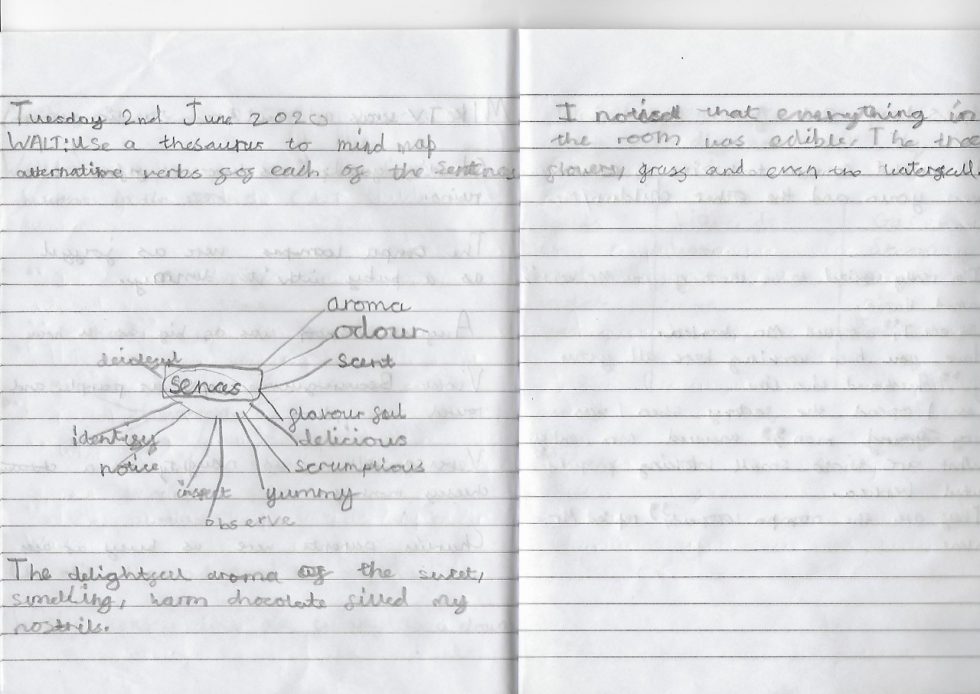 Highlights from Year 2 Woodthorne Primary School